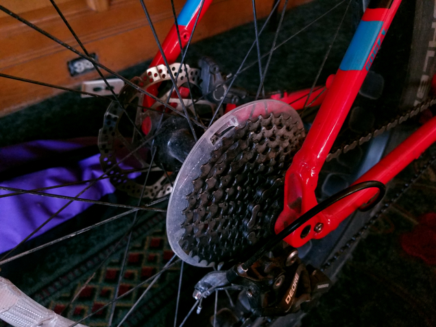 11 gears and disc brakes are all you need.
